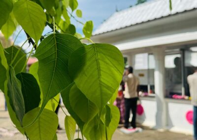 පිංබර වන්දනා 2026 (20)