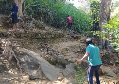 ඩෙංගු මර්ධන වැඩසටහන (13)