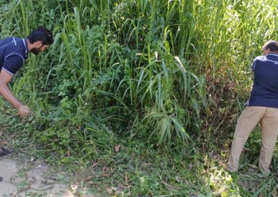 ඩෙංගු මර්ධන වැඩසටහන (14)