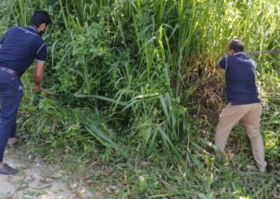 ඩෙංගු මර්ධන වැඩසටහන (15)