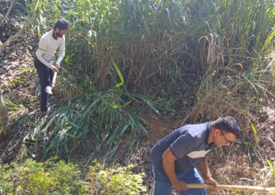ඩෙංගු මර්ධන වැඩසටහන (20)
