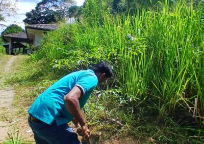 ඩෙංගු මර්ධන වැඩසටහන (22)