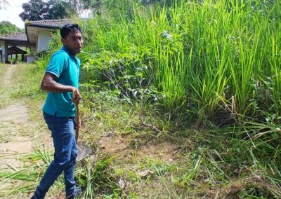 ඩෙංගු මර්ධන වැඩසටහන (24)