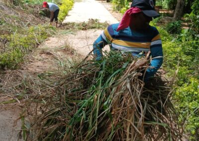 ඩෙංගු මර්ධන වැඩසටහන (25)