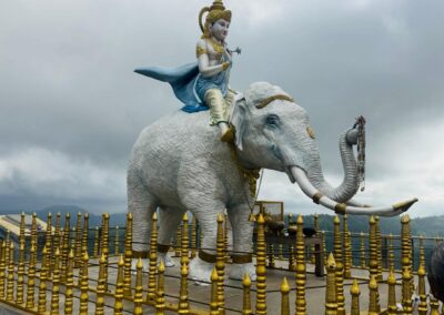 පිංබර වන්දනා 2026 (36)