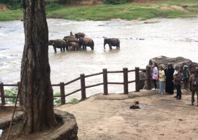බදුල්ල අභිචාර කලා ආයතනයේ දරුවන්ගේ විනෝද චාරිකාව (5)